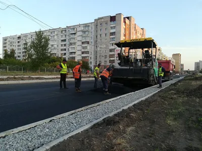 В новом сквере на Левобережье Омска высадили сосны, березы и рябины |  Общество | Омск-информ