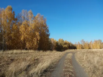 Погода в Омске... | Пикабу