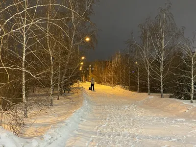 Омск вошел в число городов, где в выходные будет теплая погода