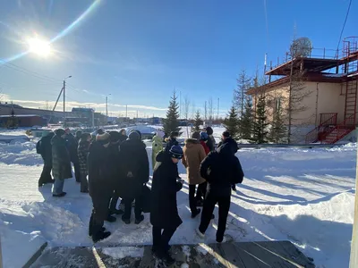 Омск (омская птица, омич, мемгенератор) :: весна пришла :: погода / смешные  картинки и другие приколы: комиксы, гиф анимация, видео, лучший  интеллектуальный юмор.