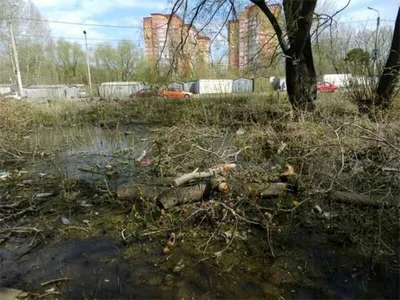 Осенний Омск 🍁 Фото нашей... - Город55 - Новости Омска | Facebook