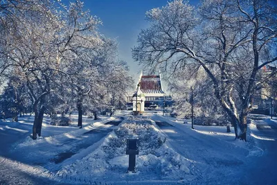 Фотография Омск зимний из раздела город #7125223 - фото.сайт - sight.photo