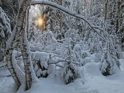 Омск | Городок Нефтяников 🏭 | Сибирь, природа, зима | Звуки города | 🌏  2021 #1 | Immersion Depth | Дзен