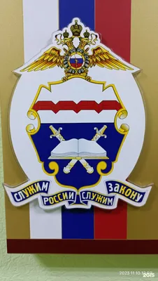 В Омске состоялся выпуск сотрудников вневедомственной охраны Росгвардии,  прошедших программу обучения профессиональной подготовки – Новости  Росгвардии