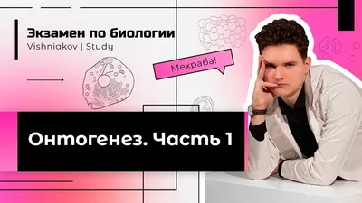 Онтогенез. Виды изменчивости worksheet | Live Worksheets