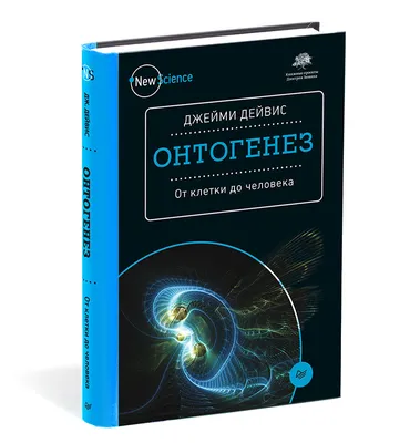 35—1. Онтогенез человека. Эмбриональное развитие человека