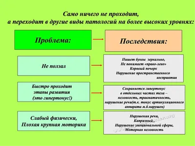 Онтогенез — тема интересная и важная. Но часть терминов в 9 классе лучше  убрать | Елена Сова: пуд соли в школе | Дзен