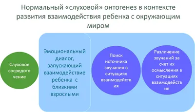 Онтогенез и его периоды - презентация онлайн