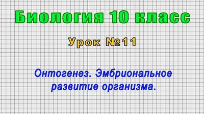 Квантованный Текст по теме «Онтогенез» – тема научной статьи по  фундаментальной медицине читайте бесплатно текст научно-исследовательской  работы в электронной библиотеке КиберЛенинка