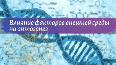 Нормальный ранний онтогенез как ориентир сурдопедагога на запускающем этапе  реабилитации ребенка с КИ - Альманах