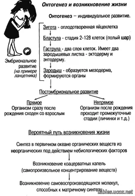 Символы согласных \"поздний онтогенез\" - купить с доставкой по выгодным  ценам в интернет-магазине OZON (1058642047)