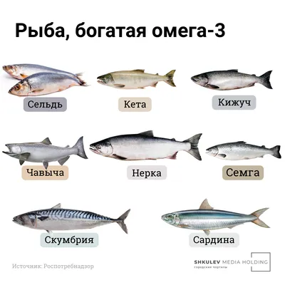 В Тюменской области почти 900 человек заразились описторхозом | Ямал-Медиа