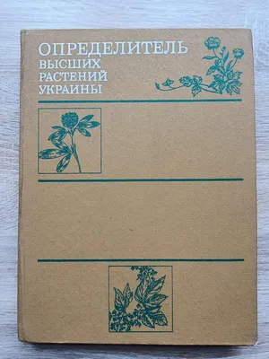 Картинки с растениями для окружающего мира (68 фото) » Картинки и статусы  про окружающий мир вокруг