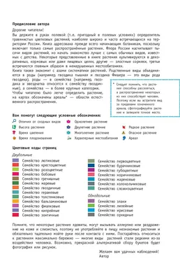 Лучшие приложения для распознавания растений, грибов и насекомых: карманная  энциклопедия. Cтатьи, тесты, обзоры