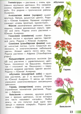 5 мобильных приложений, способных распознавать комнатные растения -  Лайфхакер