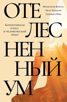 Эмпирический опыт / Петька и Василий Иванович :: анекдот :: нюанс / смешные  картинки и другие приколы: комиксы, гиф анимация, видео, лучший  интеллектуальный юмор.