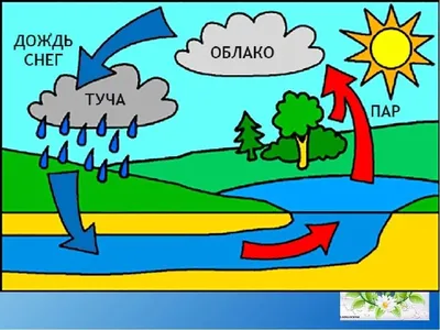 3 простых опыта с водой для детей