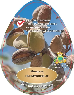 Nuts for life | Орехи от производителя | ВКонтакте