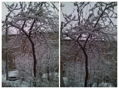 Зимний Оренбург» — создано в Шедевруме