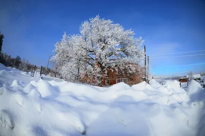 1:0 в пользу снега – Оренбург продолжает заметать | Новости Оренбурга