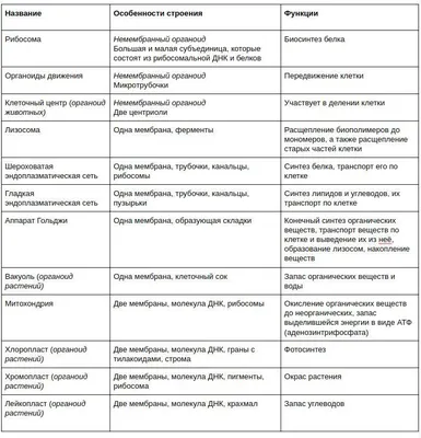 Полуавтономные органоиды клетки | PDF