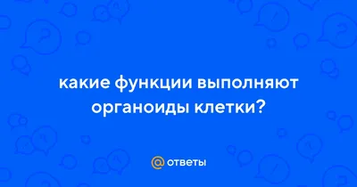 Рабочий лист «Органоиды клетки»