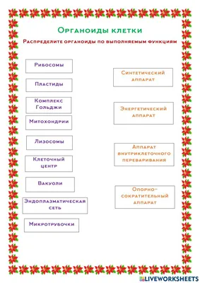 Органоиды Клетки Рисунки (57 Фото)