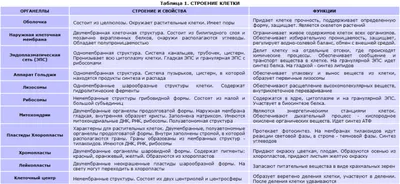 13. Одномембранные органоиды: Комплекс Гольджи. Лизосомы