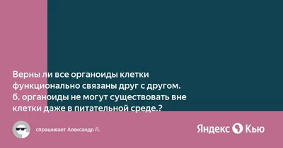 Одноклеточные животные. Подцарство Простейшие • Биология, Животные •  Фоксфорд Учебник