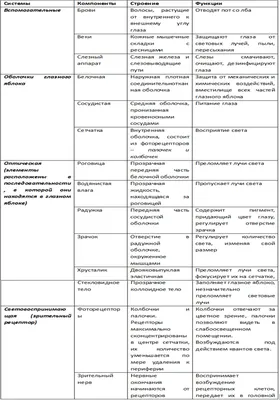 органы чувств для чувства концепции PNG , а также, чувствую себя, Рот PNG  картинки и пнг рисунок для бесплатной загрузки