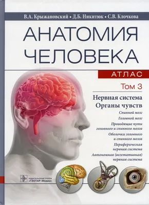 Задание \"Предметы и органы чувств\" - распечатать бесплатно