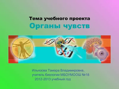 Органы чувств человека и их назначение - Лучшее. Воспитателям детских  садов, школьным учителям и педагогам - Маам.ру