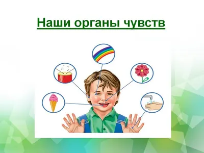 19 июня в 15:00 Занятие \"Органы чувств\" с биологом Ниной Беляевой в Музее  анатомии им. Б.К. Гиндце. 7+