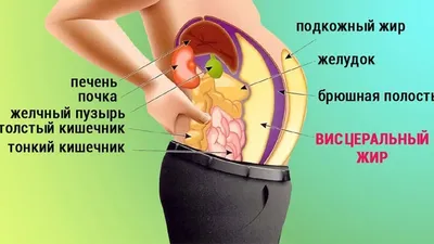 Сравнение диагностики МРТ и КТ брюшной полости