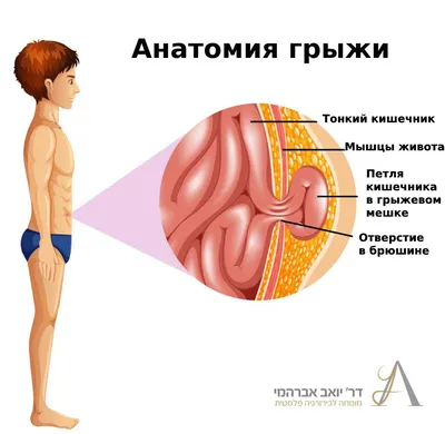 ≡ КТ брюшной полости ᐈ Киев — Цена КТ ОБП | «Добрый Прогноз»