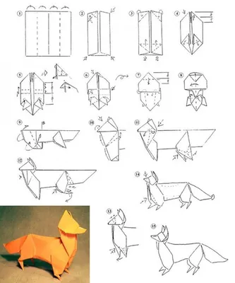Оригами для детей: 12 несложных схем - Телеканал «О!»
