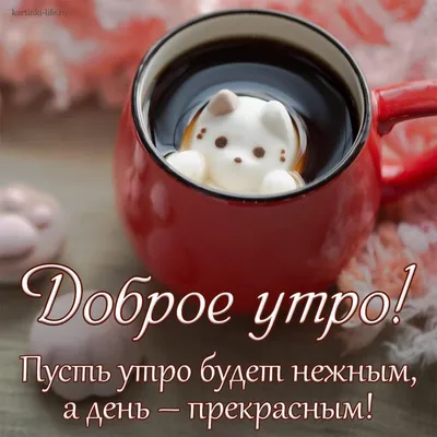 Необычные картинки С добрым утром 💌✨☕ (253 шт.)