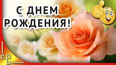 Оригинальные картинки С днем рождения женщине (100 фото) 🔥 Прикольные  картинки и юмор