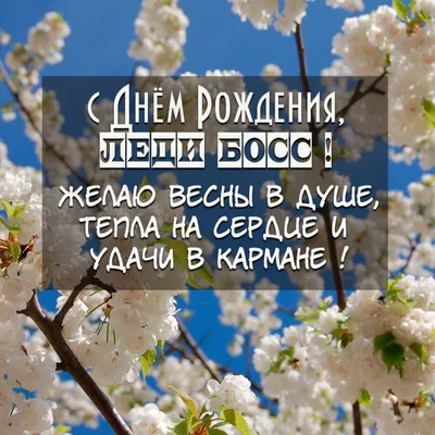 Подруге С Днем Рождения Красивое рисованное поздравление | Поздравляшки.  Видео-поздравления и футажи | Дзен