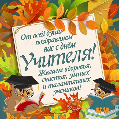 Красивые открытки ко Дню учителя 5 октября – оригинальные поздравления для  ватсап и вайбер - sib.fm