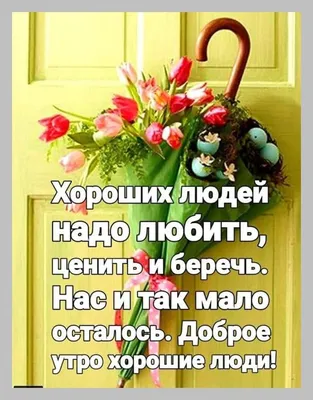 Картинки доброго дня прикольные с добрым утром женщине | Доброе утро,  Картинки, Цитаты известных людей