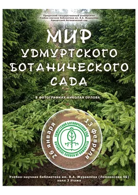 Купить Значок \"Ижевск\", СССР в интернет магазине GESBES. Характеристики,  цена | 83491. Адрес Московское ш., 137А, Орёл, Орловская обл., Россия,  302025