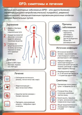 Памятка ОРЗ и Грипп: признаки болезни | Управление Роспотребнадзора по  Нижегородской области