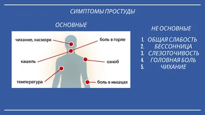 ОРВИ и ОРЗ: отличия признаков, симптомов и методов лечения