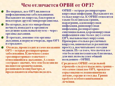 ОРЗ-Дизайн\" Маска защитная с принтом 19 х 12 х 0.2 см Орз-1462 \"Еж грабеж\"  купить за 29,00 ₽ в интернет-магазине Леонардо