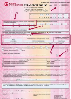Бланк ОСАГО. Как выглядит страховой полис в 2021 году