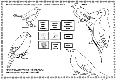 Лексическая тема \"ЗИМУЮЩИЕ ПТИЦЫ\" | Мио логопед Кристина Борисова | Дзен