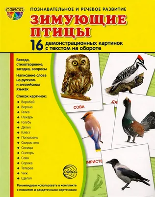 Картинки перелетные птицы весной с названиями для детей (66 фото) »  Картинки и статусы про окружающий мир вокруг