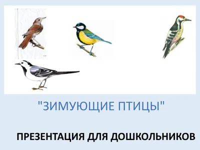 Раскраски зимующие птицы нашего края (41 фото) » Картинки, раскраски и  трафареты для всех - Klev.CLUB