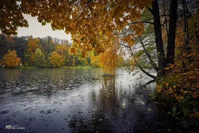 Картинки осенняя погода (80 фото)